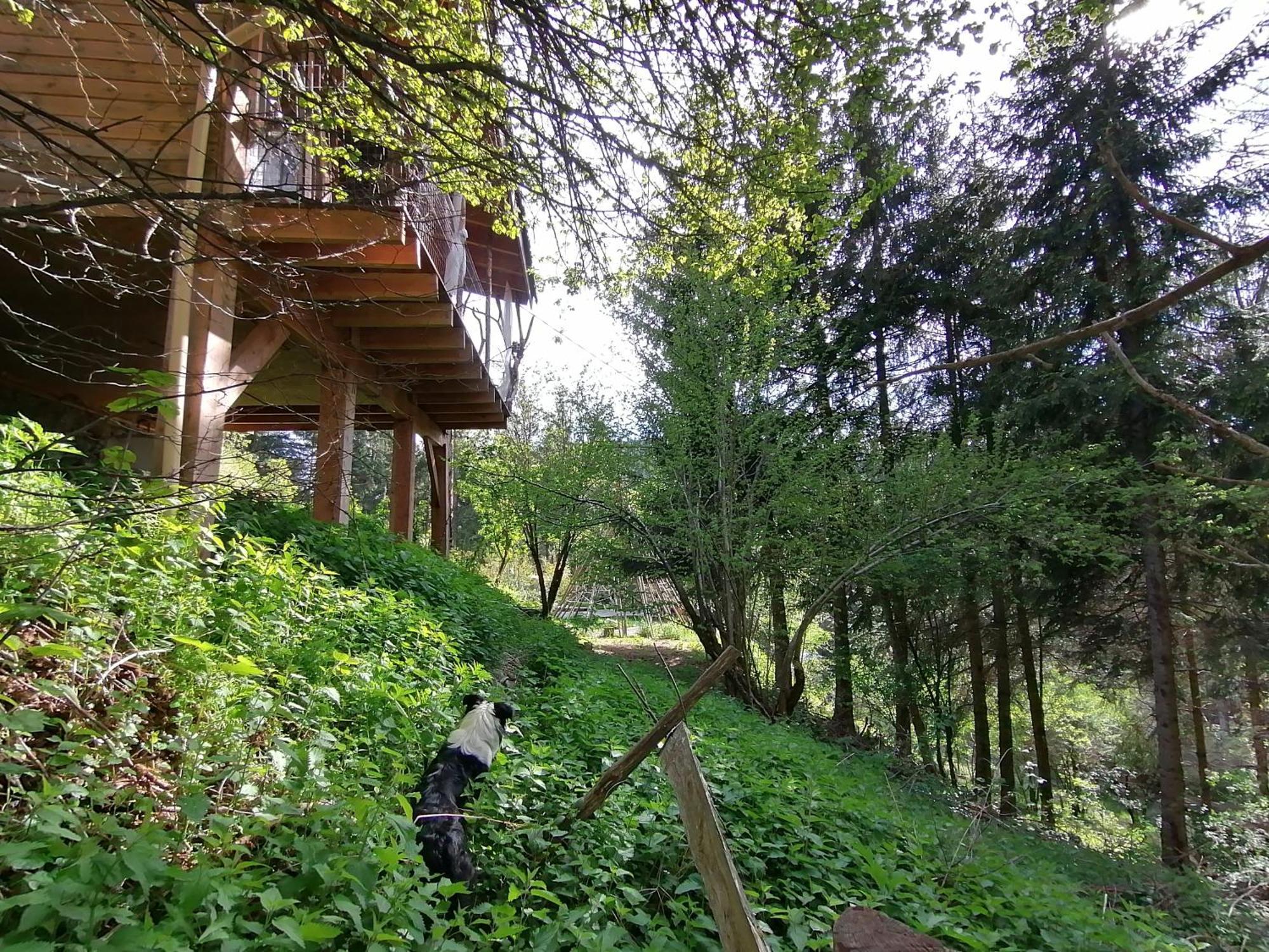 La Fortance Paradis Naturel - Proche de la ville Planfoy Habitación foto